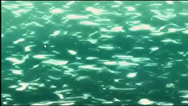 hentai- comi minha meia-irma